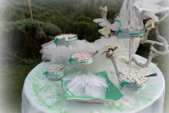 I nostri allestimenti per le Confettate